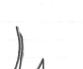 ani12x4.jpg